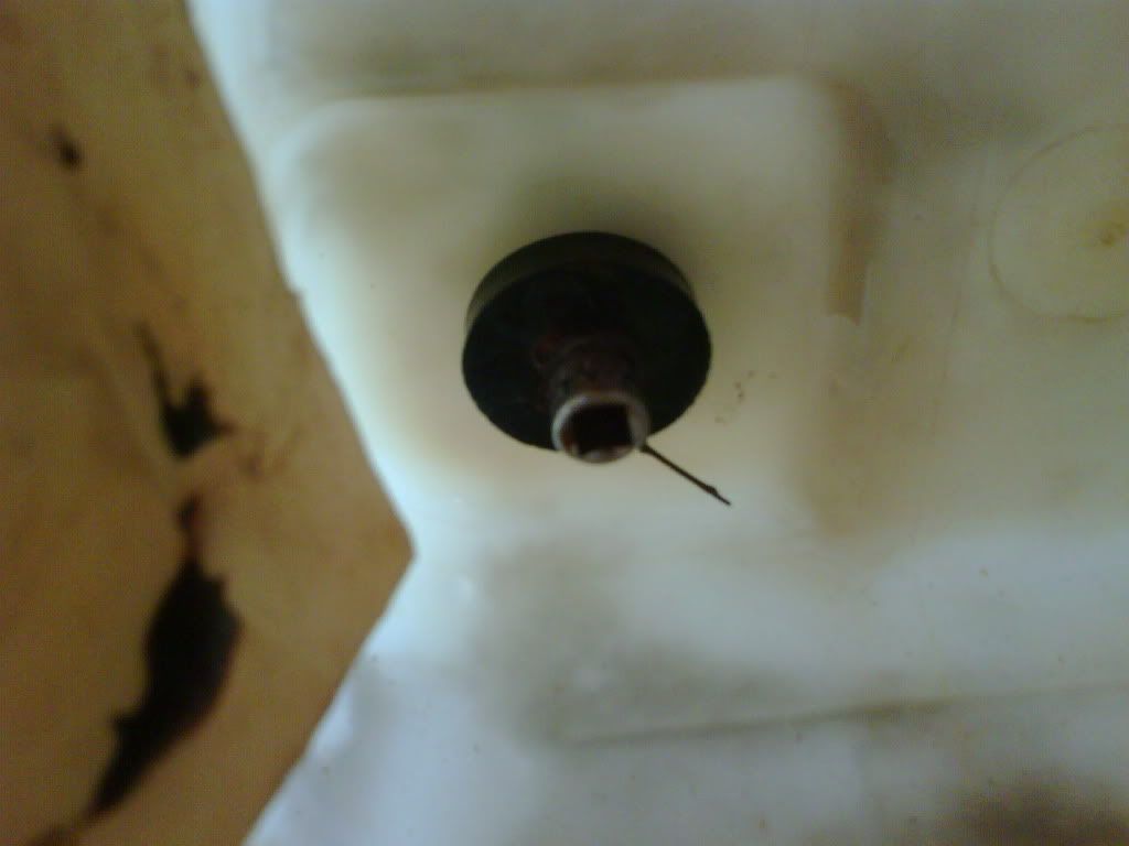 IMG00177-20090906-1742.jpg