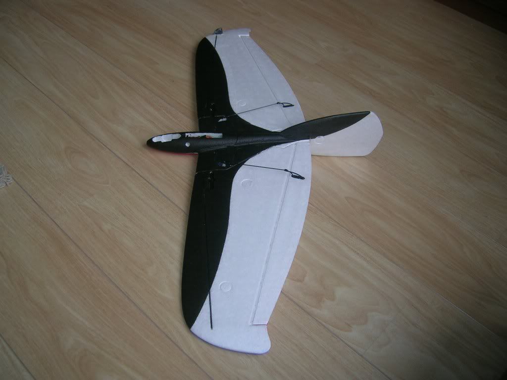 DSCN5539.jpg