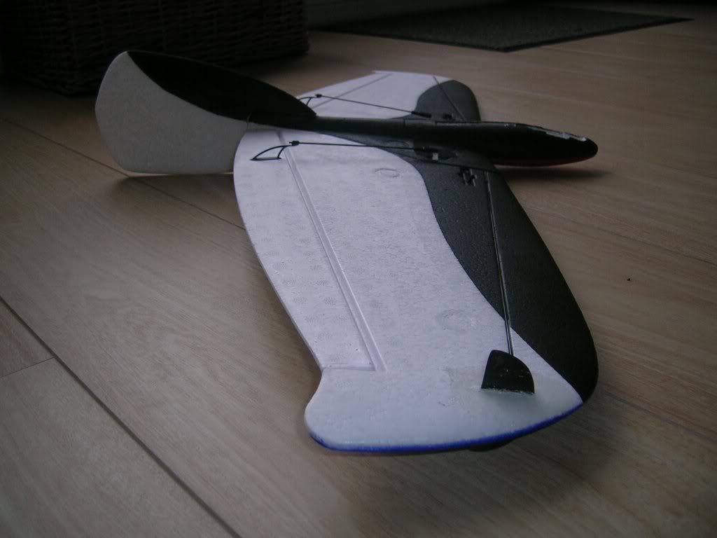 DSCN5541.jpg