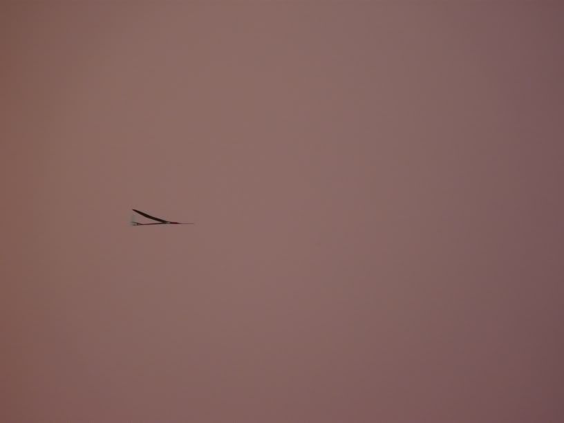 P1000298.jpg