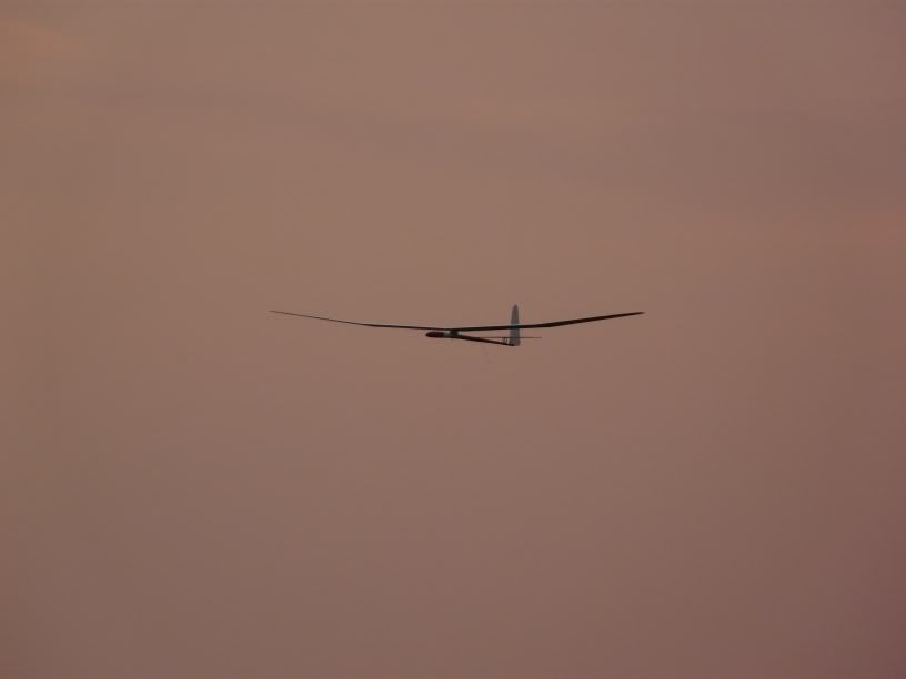 P1000302.jpg