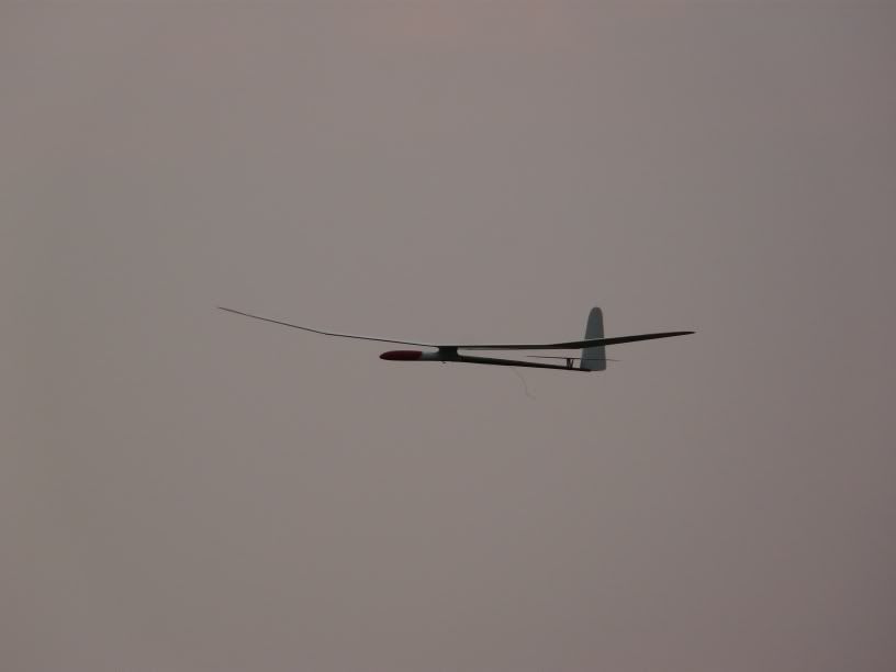 P1000304.jpg