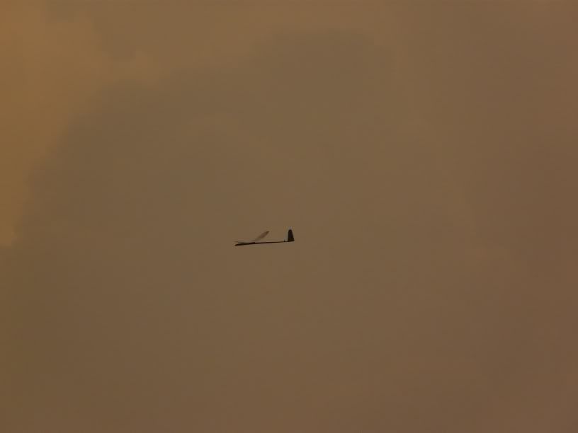 P1000327.jpg