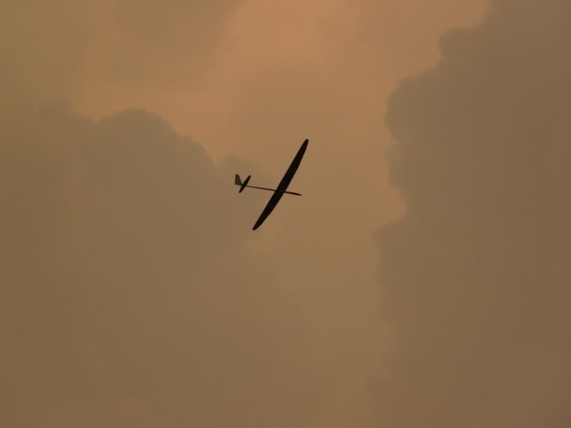 P1000330.jpg