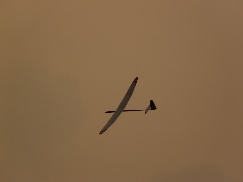 P1000335.jpg