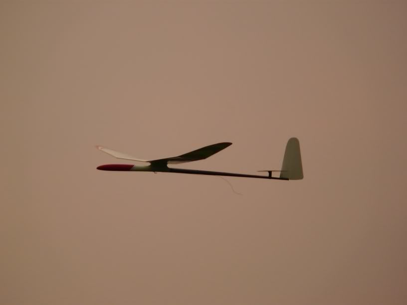 P1000339.jpg