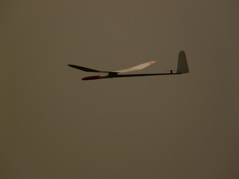 P1000340.jpg