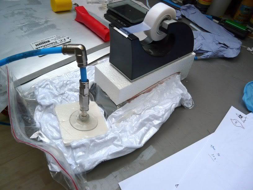 P1000847.jpg