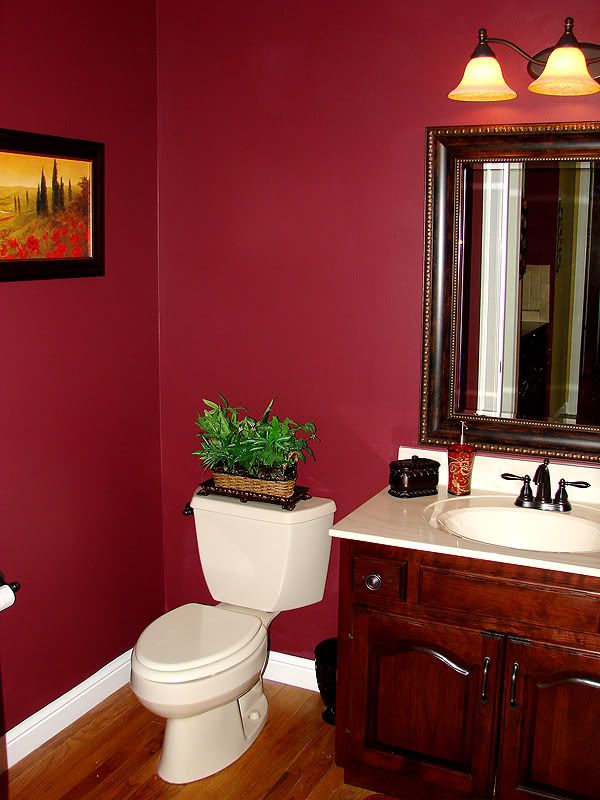 Powder Room Paint Ideas | DIY Decorating , Room Design Ideas