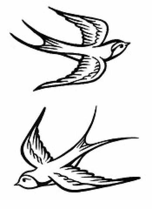 dove tattoo design. birds-raven-dove-swallow-eagle
