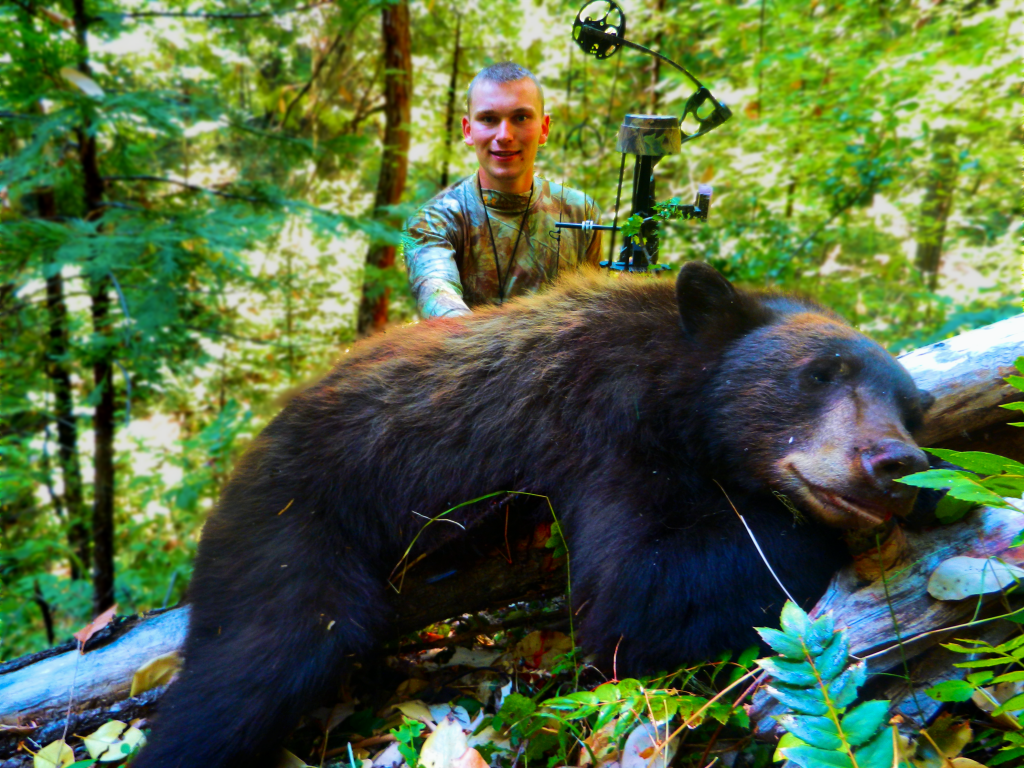 Oregon Fall Black Bear + Oregon Bear Hunting Tips