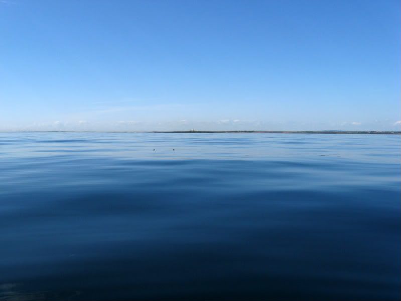 Picture427.jpg