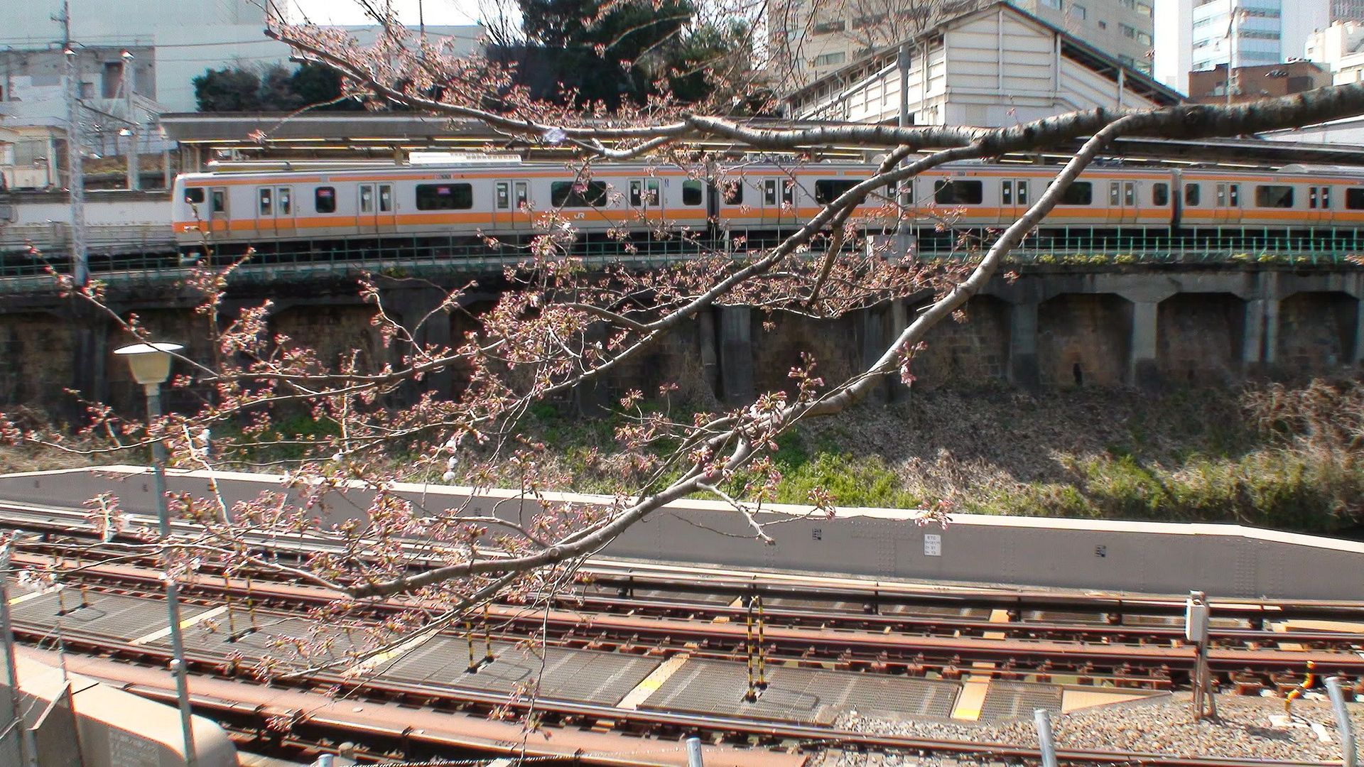 圖檔