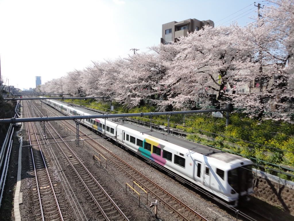 圖檔