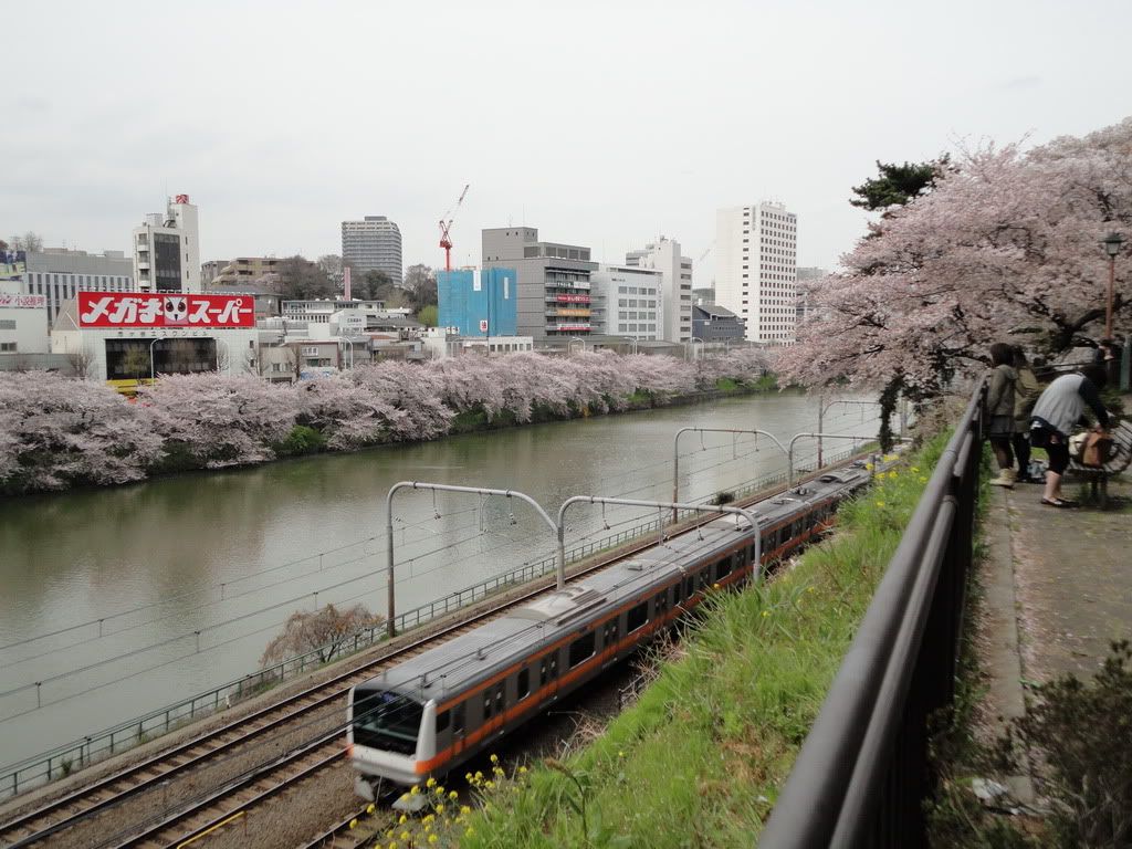 圖檔