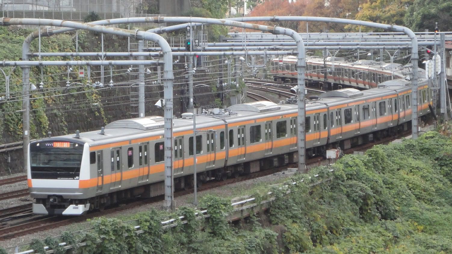 圖檔