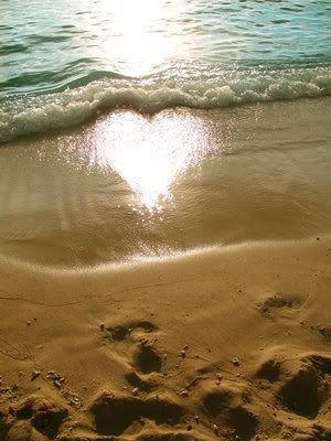 beach and sun makes heart.