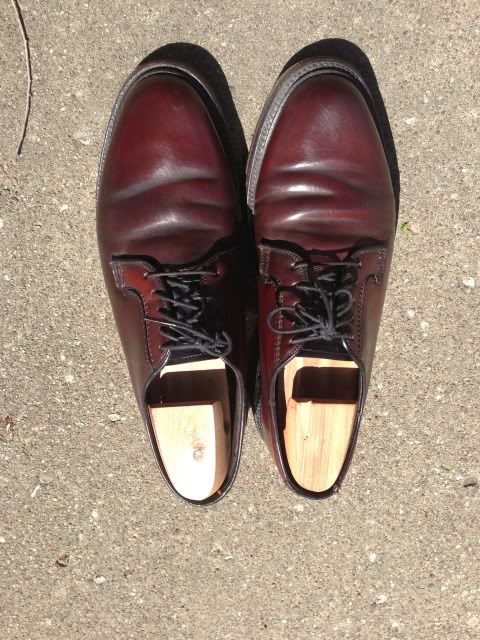 bostonian shell cordovan