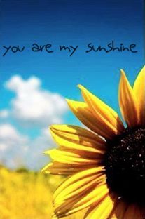 you are my sunshine photo: sunflower 35.jpg