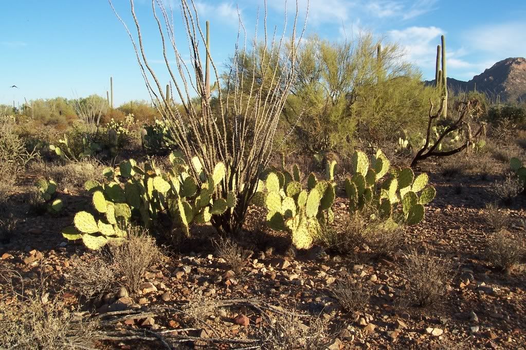 Tucson, Arizona  2