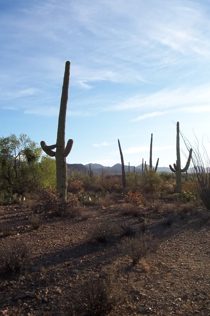 Tucson, Arizona