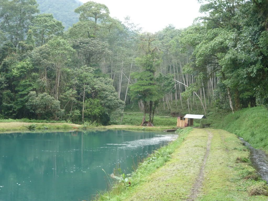 Volcán Platanar Parque Nacional del Agua Juan Castro Blanco Page 2
