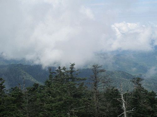 Naturaleza a pleno de las Montañas Humeantes de Estados Unidos Naturaleza a pleno de las Montañas Humeantes de Estados Unidos