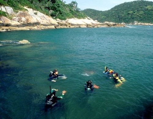 Isla de Arvoredo: paraíso para el buceo al sur de Brasil Isla de Arvoredo: paraíso para el buceo al sur de Brasil