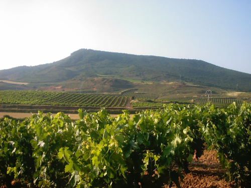 Disfrutá de La Rioja en esta temporada de verano Disfrutá de La Rioja en esta temporada de verano