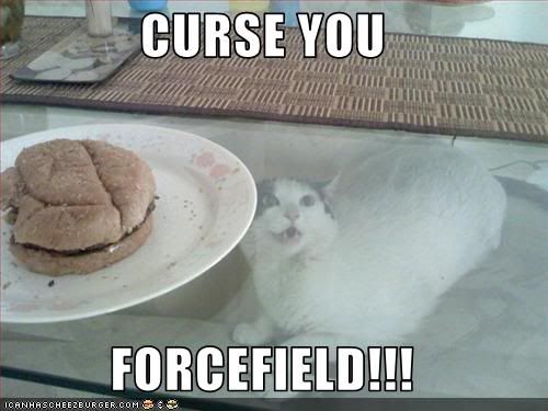 funny-pictures-cat-curses-the-force.jpg