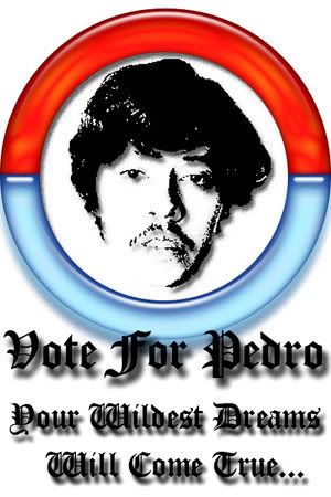 Vote_For_Pedro_11.jpg