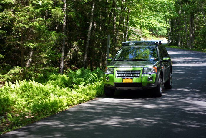 acadia2.jpg
