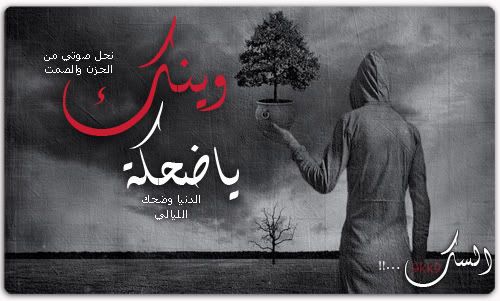 صورة