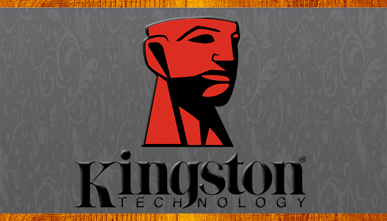 Memoria Usb kingston dt50 8gb