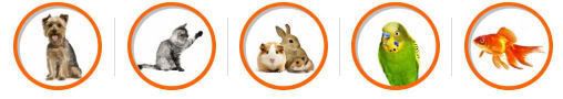 Food, treats, bedding and accessories for dogs, cats, birds, fish and small animals