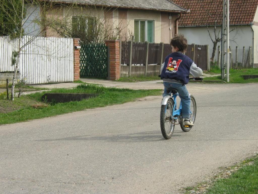 Feltöltött kép