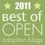 Best of Open Adoption Blogs 2011