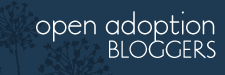 Open Adoption Blogs