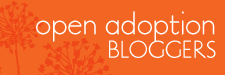 Open Adoption Blogs