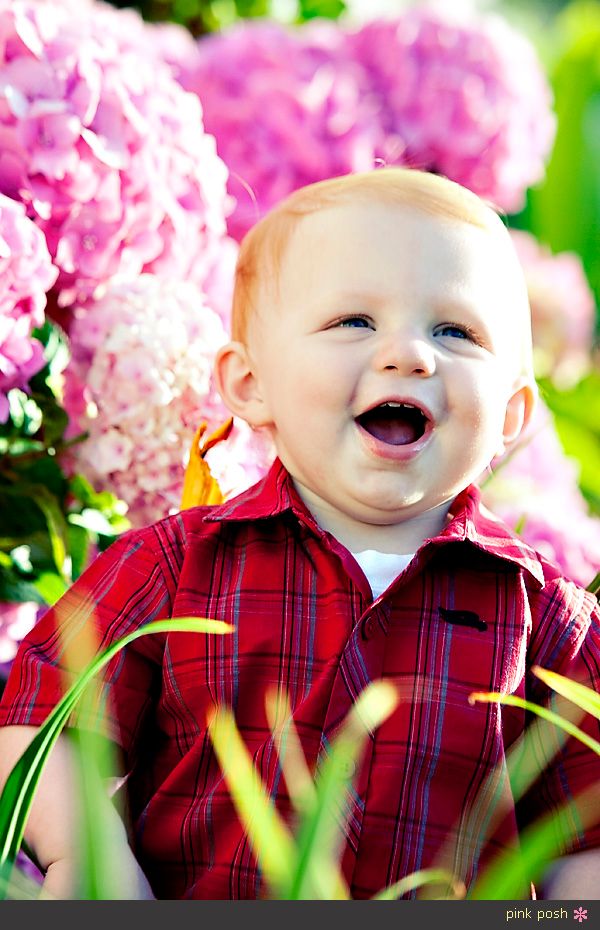 Pink Posh Photography Baby and Toddler Photos