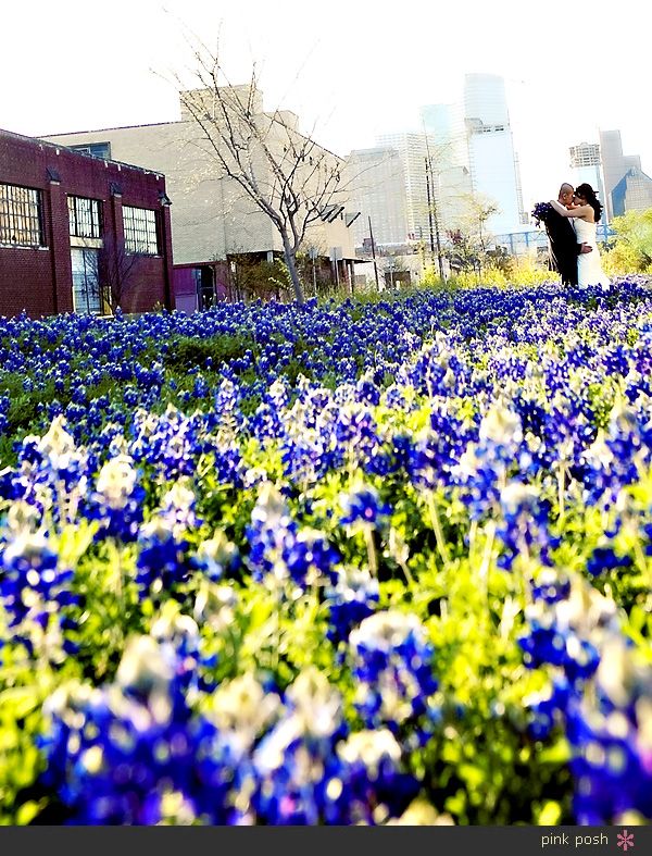 Quyen and Tony - Pink Posh Houston Bridal and Groom Portraits