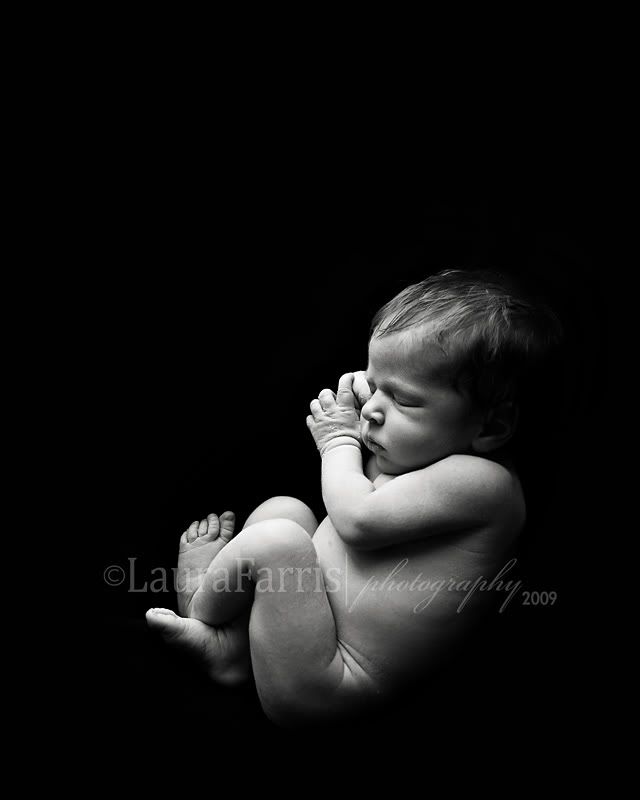boise idaho newborn photographer