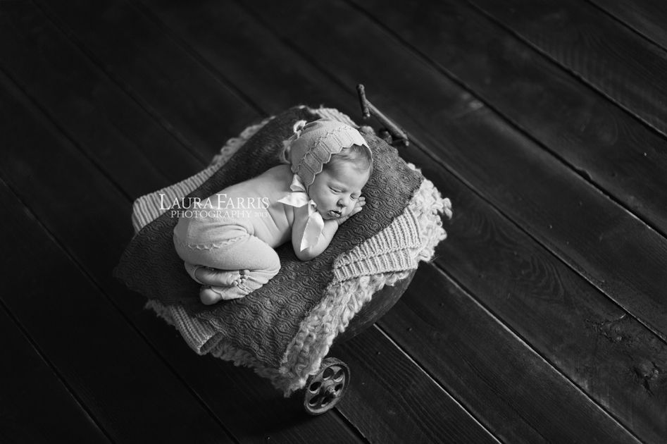  photo newborn-portraits-boise-idaho_zps1e83edd5.jpg