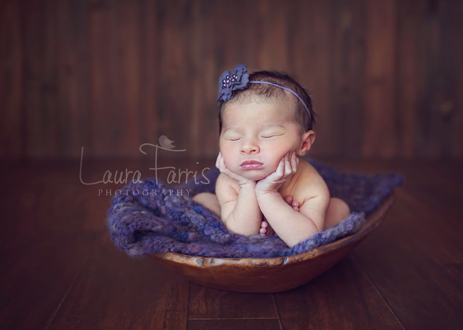 boise newborn photography