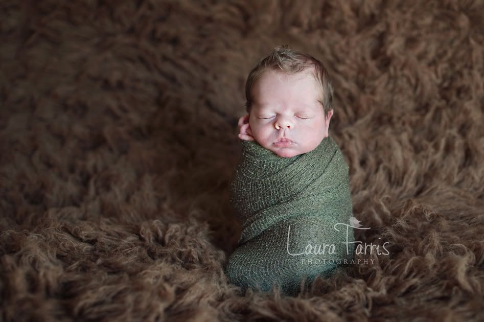 newborn photography Idaho