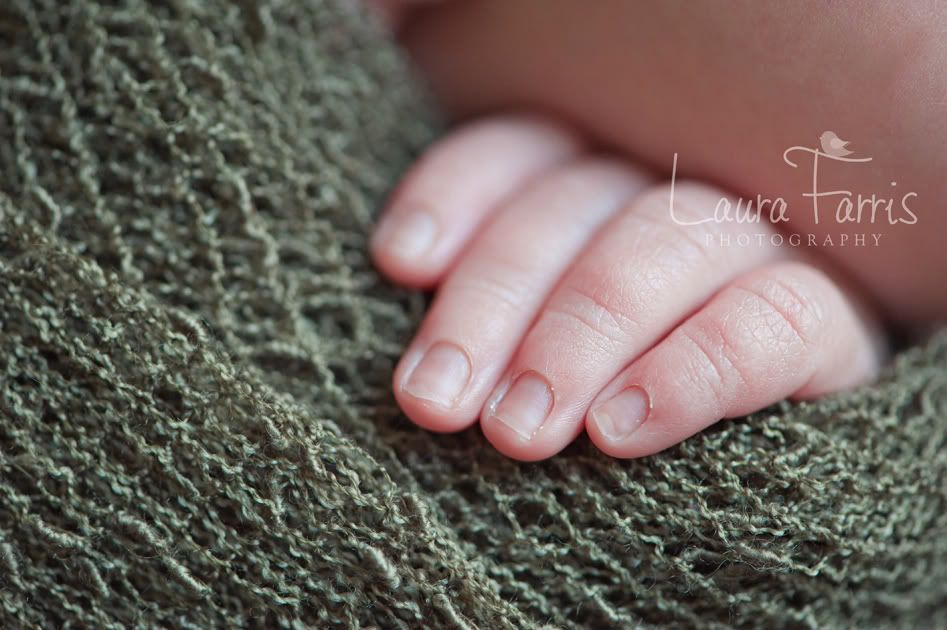 newborn photography Idaho