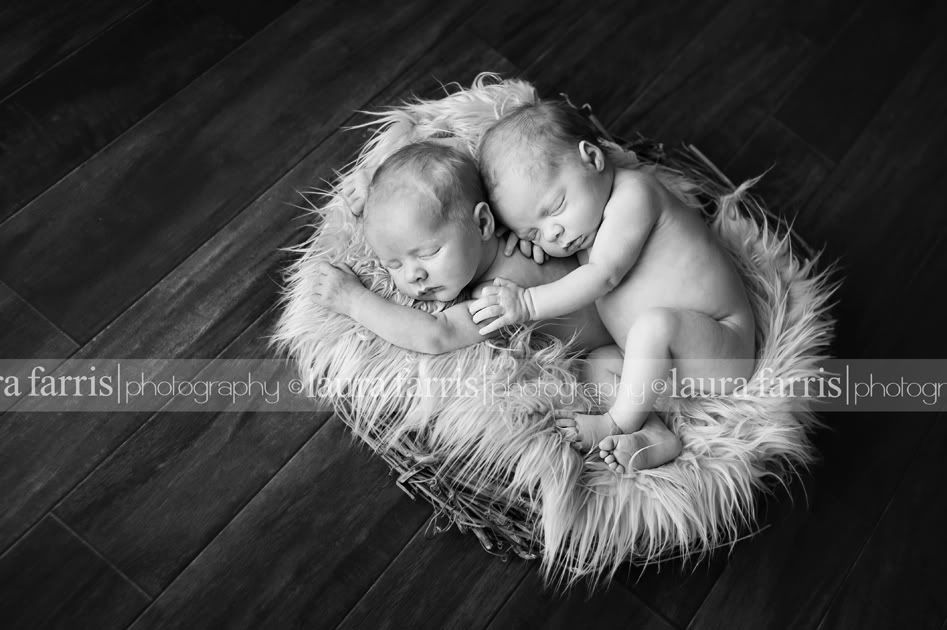 best boise newborn photographer
