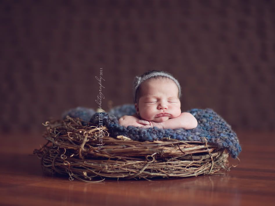 Boise newborn photgrapher
