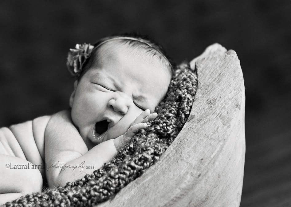 newborn portraiture boise