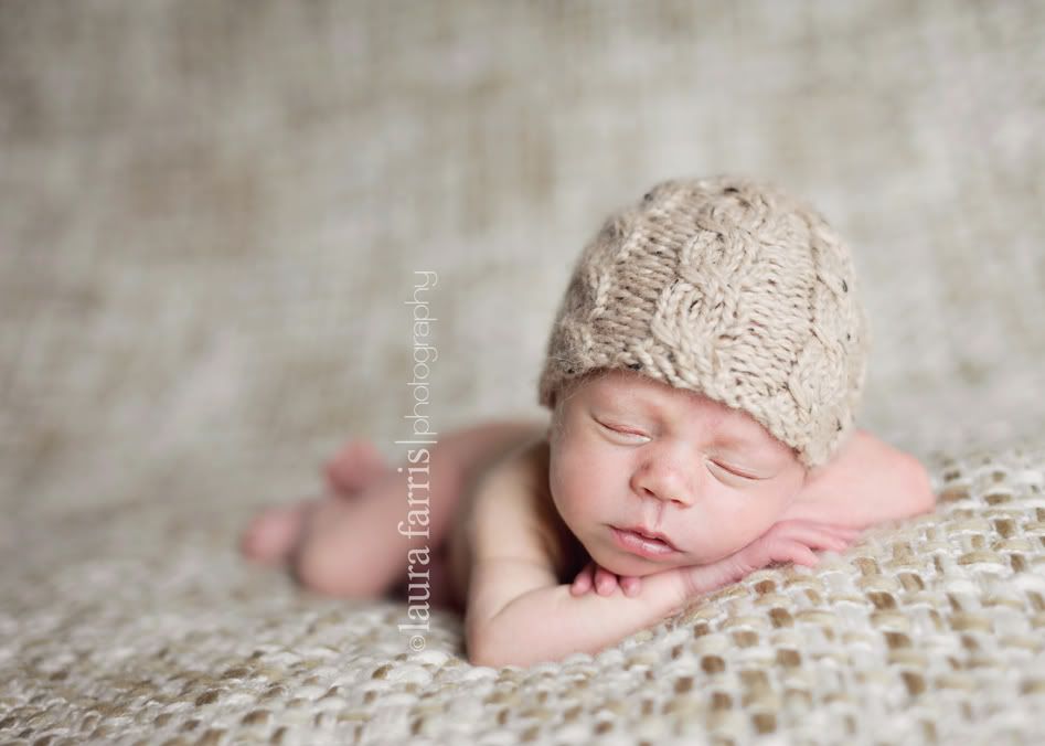 boise newborn photographer